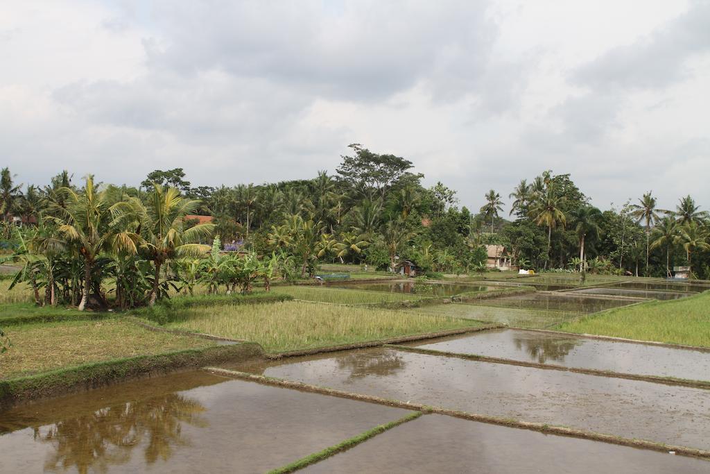 Villa Kami Ubud Kültér fotó