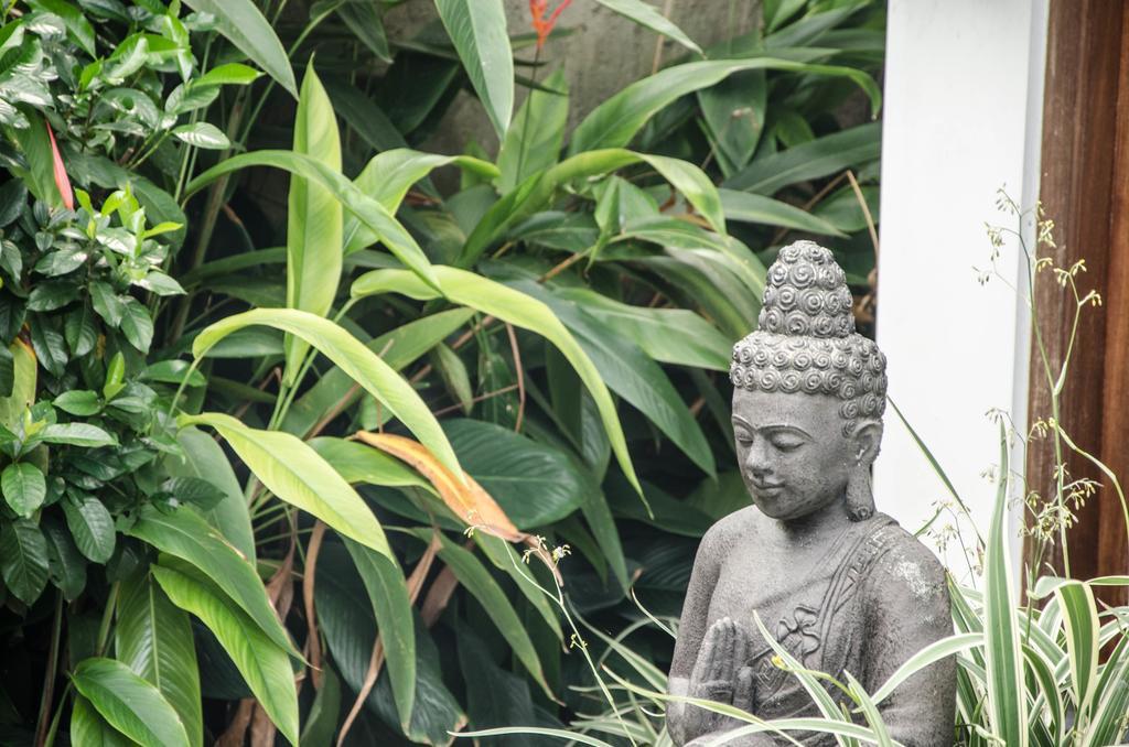 Villa Kami Ubud Kültér fotó
