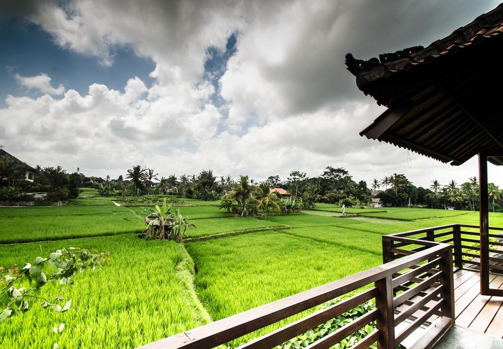 Villa Kami Ubud Kültér fotó